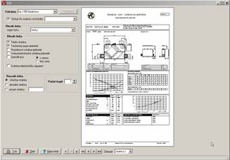 Program outputs